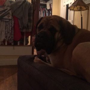 Meet your Posher, Leigh